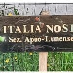 Equinozio di primavera, piantiamo alberi ed arbusti: l’appello di Italia Nostra sezione Apuolunense alla scuola Paradiso di Marina di Carrara