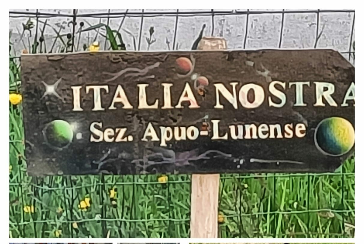 Equinozio di primavera, piantiamo alberi ed arbusti: l’appello di Italia Nostra sezione Apuolunense alla scuola Paradiso di Marina di Carrara